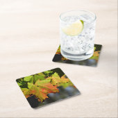 Kleurrijke herfstbladeren kartonnen onderzetters (Insitu)