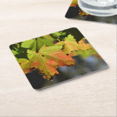 Kleurrijke herfstbladeren kartonnen onderzetters (Schuin)