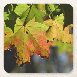 Kleurrijke herfstbladeren kartonnen onderzetters