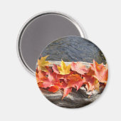 Kleurrijke herfstbladeren kunst magneet (Voorkant / Achterkant)