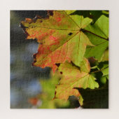 Kleurrijke herfstbladeren legpuzzel (Horizontaal)