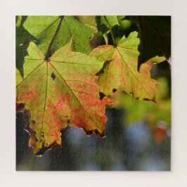 Kleurrijke herfstbladeren legpuzzel