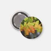 Kleurrijke herfstbladeren magneet (Voorkant / Achterkant)