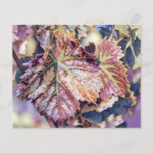 Kleurrijke Herfstbladeren met herfstkleuren waterv