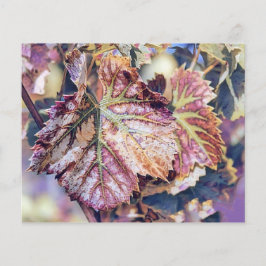 Kleurrijke Herfstbladeren met herfstkleuren waterv