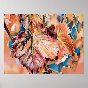 Kleurrijke Herfstbladeren met herfstkleuren waterv Poster