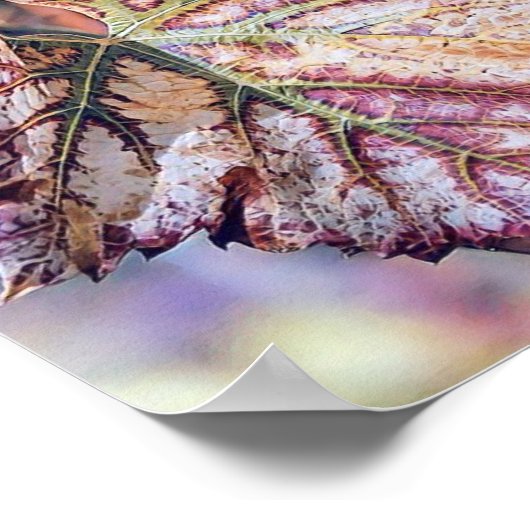 Kleurrijke Herfstbladeren met herfstkleuren waterv Poster (Hoek)