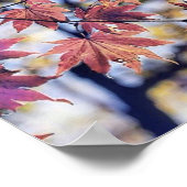 Kleurrijke Herfstbladeren met herfstkleuren waterv Poster (Hoek)