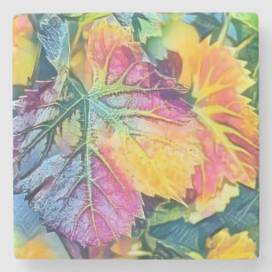 Kleurrijke Herfstbladeren met herfstkleuren waterv Stenen Onderzetter