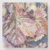 Kleurrijke Herfstbladeren met herfstkleuren waterv Stenen Onderzetter (Voorkant)