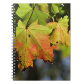 Kleurrijke herfstbladeren notitieboek (Voorkant)