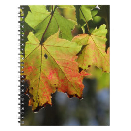 Kleurrijke herfstbladeren notitieboek