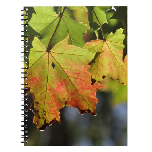 Kleurrijke herfstbladeren notitieboek (Voorkant)