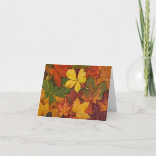 Kleurrijke herfstbladeren notitiekaart
