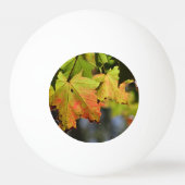 Kleurrijke herfstbladeren pingpongbal (Achterkant)