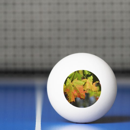 Kleurrijke herfstbladeren pingpongbal (Net)