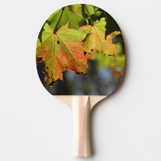 Kleurrijke herfstbladeren tafeltennisbatje (Voorkant)