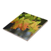 Kleurrijke herfstbladeren tegeltje (Zijkant)