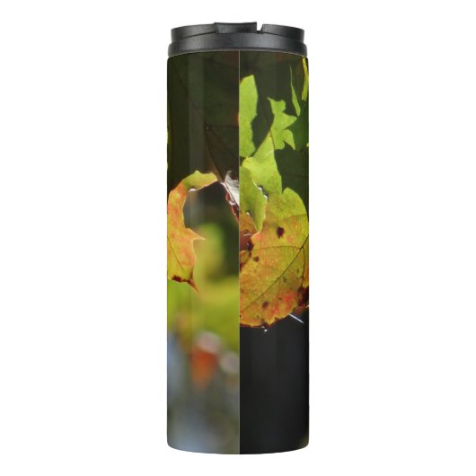 Kleurrijke herfstbladeren thermosbeker (Achterkant)