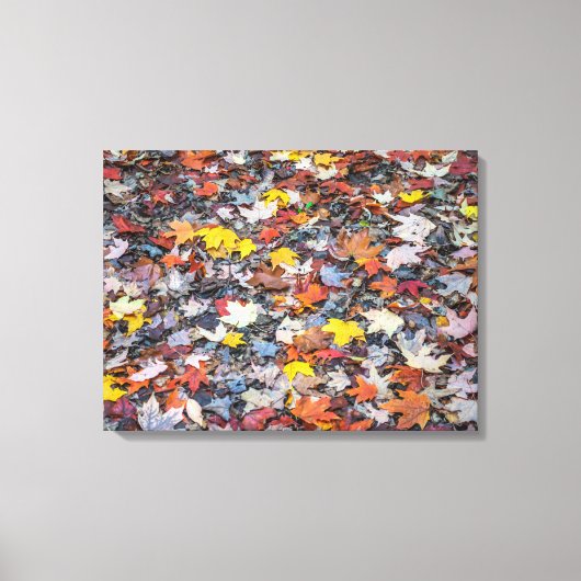 Kleurrijke herfstbladeren uitzicht canvas print (Voorkant)