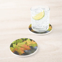 Kleurrijke herfstbladeren zandsteen onderzetter