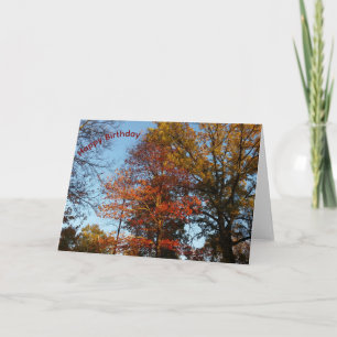 Kleurrijke herfstbomen Gefeliciteerd met je verjaa Kaart