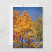 Kleurrijke Herfstbomen Save the Date Kaart (Achterkant)