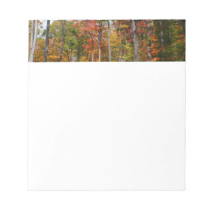 Kleurrijke herfstfotografie in het bos notitieblok