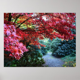 Kleurrijke herfsttuinwandeling poster