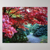 Kleurrijke herfsttuinwandeling poster (Voorkant)