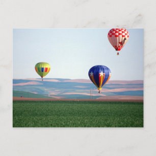 Kleurrijke hete luchtballonnen zweven over tarwe briefkaart