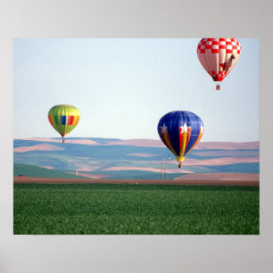 Kleurrijke hete luchtballonnen zweven over tarwe poster