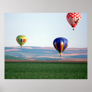 Kleurrijke hete luchtballonnen zweven over tarwe poster
