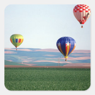Kleurrijke hete luchtballonnen zweven over tarwe vierkante sticker