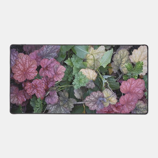 Kleurrijke Heuchera Plant bladeren botanisch Bureaumat (Voorkant)