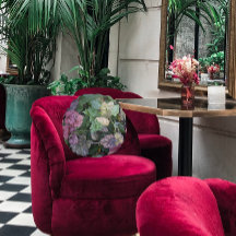 Kleurrijke Heuchera Plant bladeren botanisch