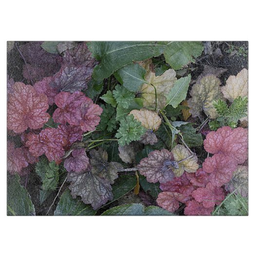 Kleurrijke Heuchera Plant bladeren botanisch Snijplank (Voorkant)