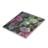 Kleurrijke Heuchera Plant bladeren botanisch Tegeltje (Zijkant)