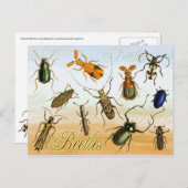 Kleurrijke hoezen briefkaart (Voorkant / Achterkant)