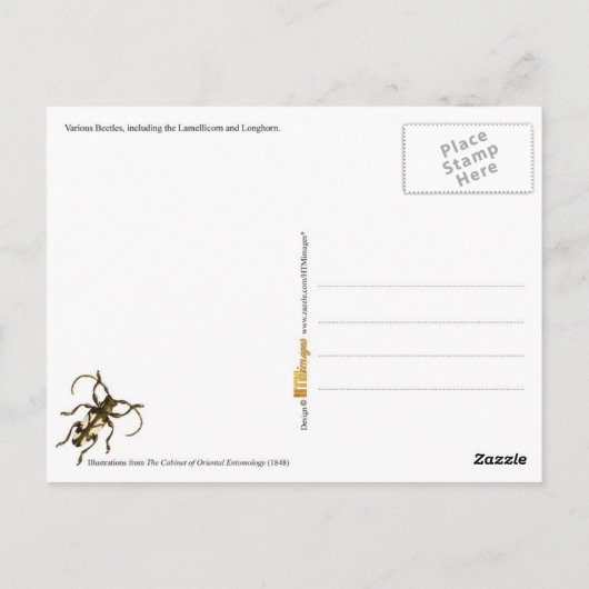 Kleurrijke hoezen briefkaart (Achterkant)