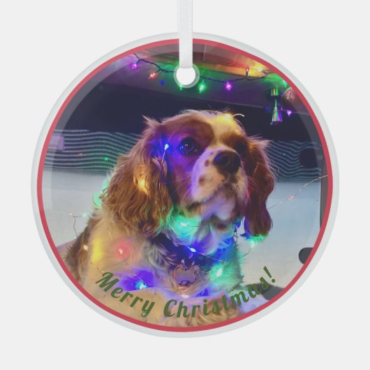 Kleurrijke Hond Kerst Ornament (Voorkant)