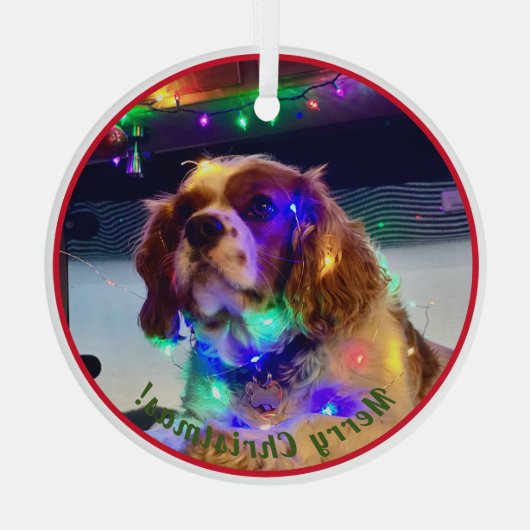 Kleurrijke Hond Kerst Ornament (Achterkant)