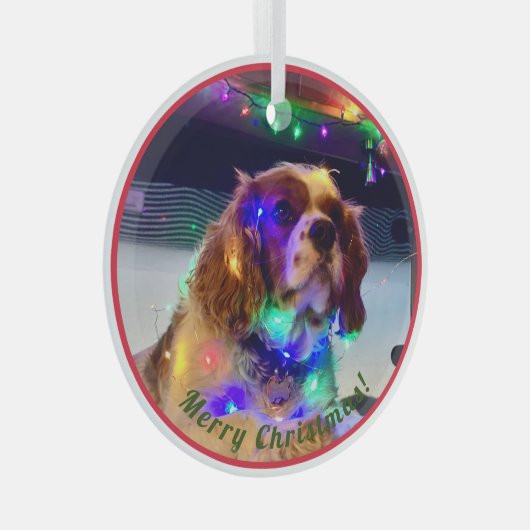 Kleurrijke Hond Kerst Ornament (Voorkant Rechts)