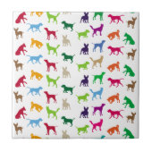 Kleurrijke honden silhouettes tegeltje (Voorkant)