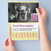 Kleurrijke honden thema template voor flyer (Hand)