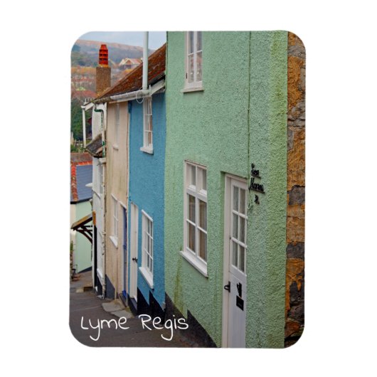 Kleurrijke huizen, Lyme Regis, Dorset, Engeland Magneet (Verticaal)