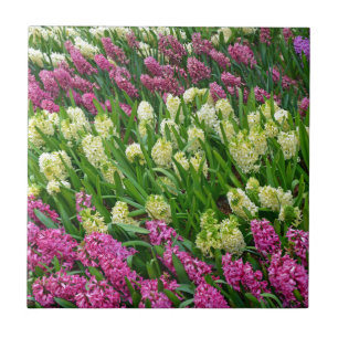 Kleurrijke hyacineuze bloemtuin tegeltje