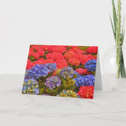 Kleurrijke Hydrangea Flower Garden Art Note Kaart (Voorkant)