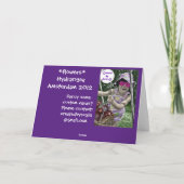 Kleurrijke Hydrangea Flower Kaart (Achterkant)