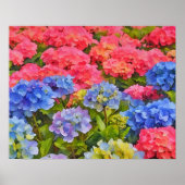 Kleurrijke Hydrangea Flowers Waterverf Style Art Poster (Voorkant)
